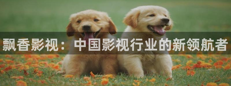 窝窝网电影电视剧大全2023