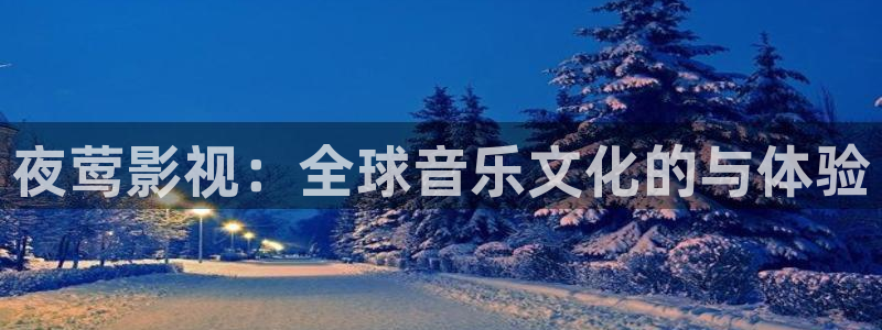 窝窝影院电视剧在线观看