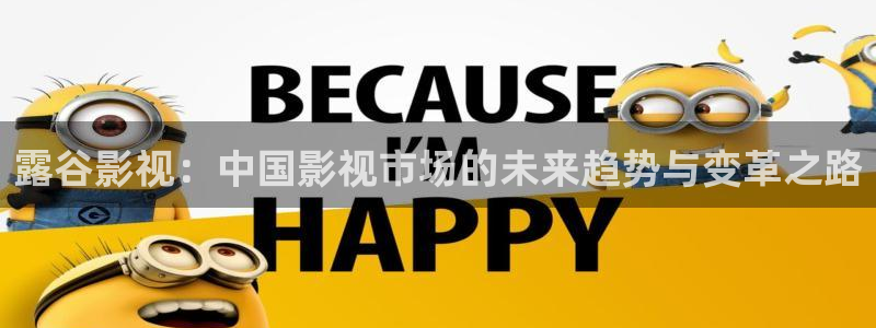 窝窝影院电视剧