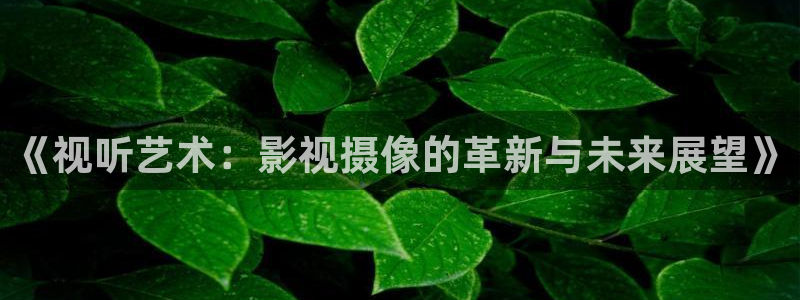 窝窝影院免费观看高清电视剧窝窝网